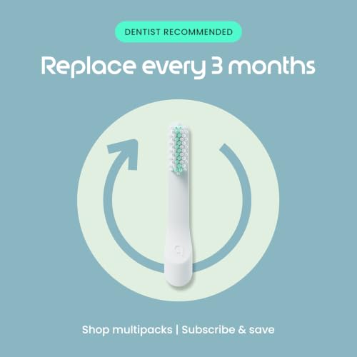Quip Metal Sonic Electric Toothbrush for Adults - Time Travel & - Product Imagery