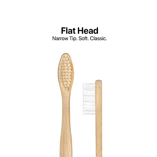 Sea Turtle Plant-Based Bristles, Bamboo Toothbrushes, Soft - Product Imagery