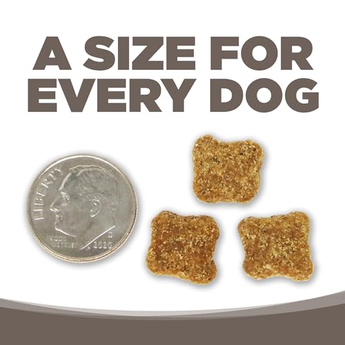 NutriSource Senior Chicken & Rice Dog Food, 4lb - Product Imagery