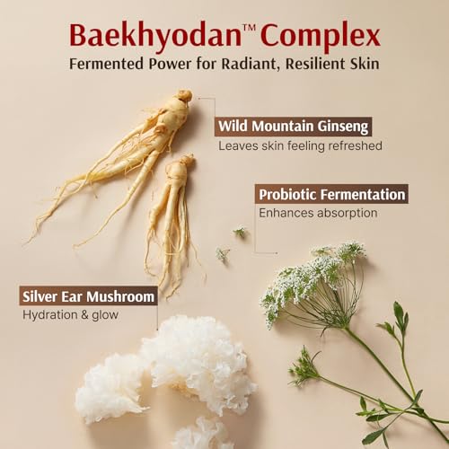 Sooryehan Hyobidam Fermented Skincare Gift Set with Wild Ginseng - Product Imagery