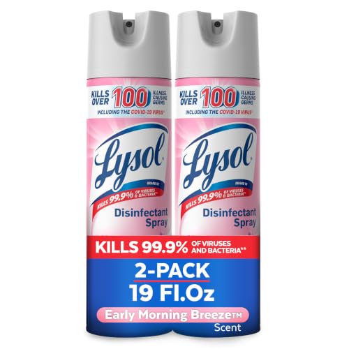 Lysol Disinfectant Spray, Sanitizer, Morning Breeze, 19 oz, 2 - Product Imagery
