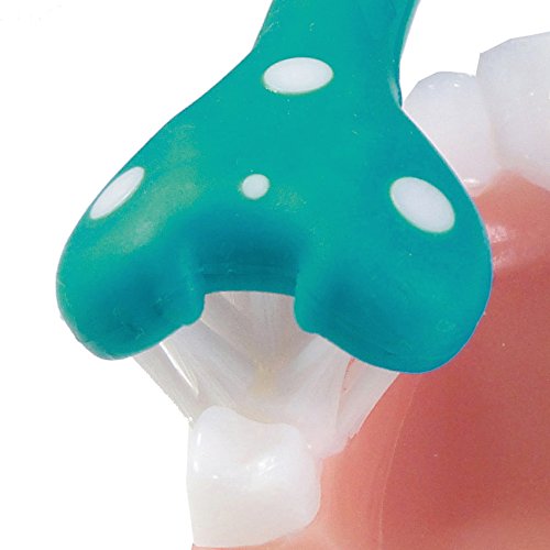 SURROUND Toddler Toothbrush/2 (Purple/Green) - Product Imagery