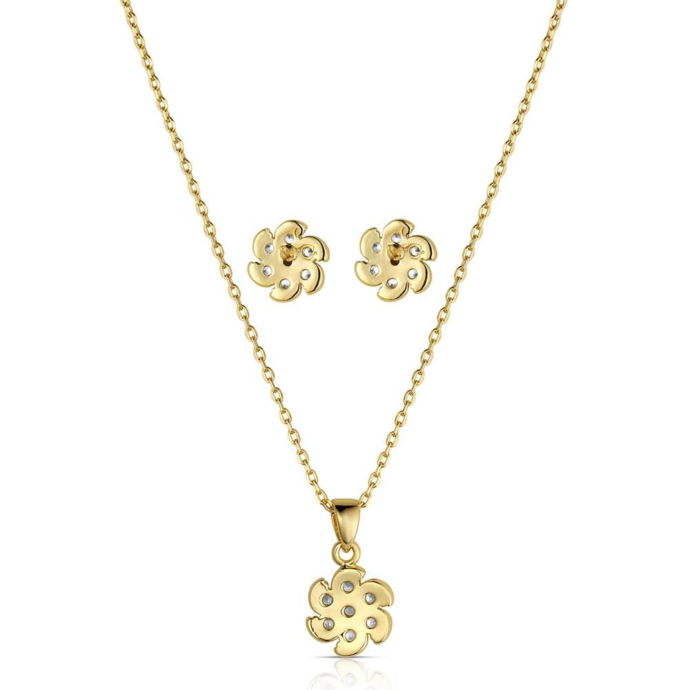 Montana Silversmiths Western Lifestyle Crystal Jewelry Set – full view
