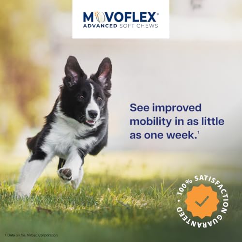 MOVOFLEX Advanced Soft Chews Hip and Joint Support Supplement - Product Imagery