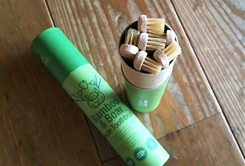 Gaia Guy Natural Bristle Bamboo Toothbrush (NO Nylon - Boar Hair - Product Imagery