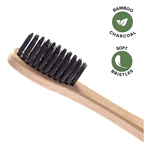 Greenzla Bamboo Toothbrushes for Adults – 12 Pack Wooden - Product Imagery