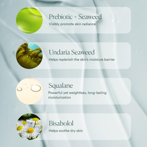 OSEA Seabiotic® Water Cream, Weightless Face Moisturizer, 1.6 oz - Product Imagery