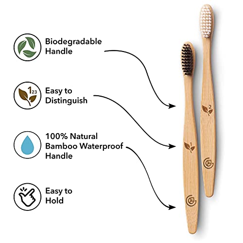 Greenzla Bamboo Toothbrushes for Adults – 12 Pack Wooden - Product Imagery