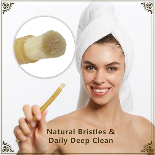Miswak Sticks for Teeth Pack of 2 - Vacuum Sealed Traditional - Product Imagery