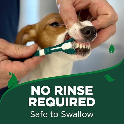 Vet's Best Dog Toothpaste & Toothbrush Dental Care Kit, With - Product Imagery
