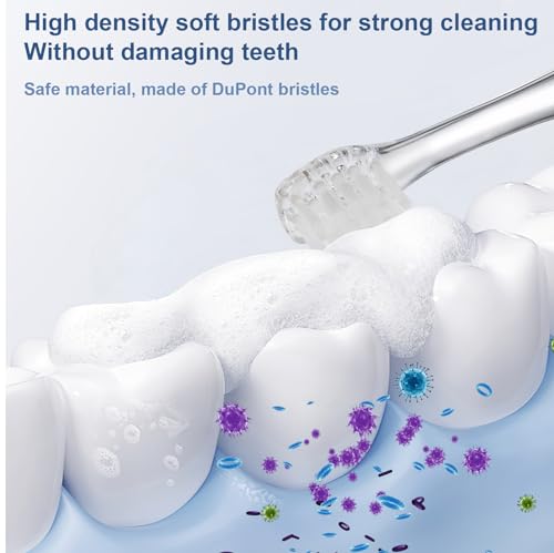 Baby Toothbrush Heads Compatible with Papablic BabyHandy/Toddler - Product Imagery
