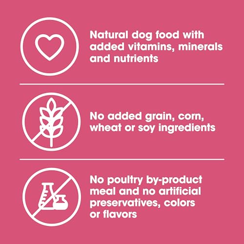 Nature's Recipe Grain Free Salmon Dry Dog Food, 4 lb. Bag - Product Imagery