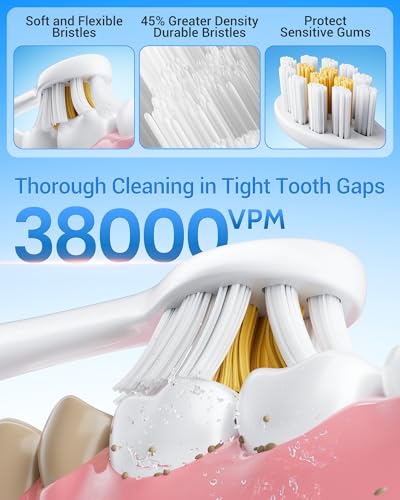 Aneebart Sonic 2 Pack Electric Toothbrush for Adults, Travel - Product Imagery