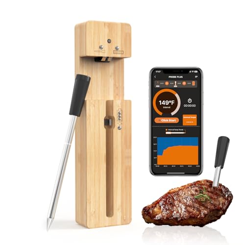Wireless Meat Thermometer Smart APP Rechargeable Christmas - Newise Official Imagery - 1