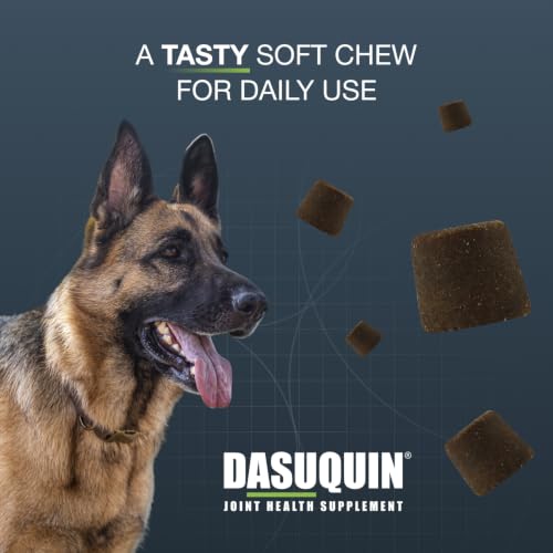 Nutramax Dasuquin MSM Joint Supplement for Large Dogs, Soft - Product Imagery
