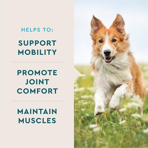 VetIQ Max Strength Hip & Joint Chews for Dogs, 90ct - Product Imagery
