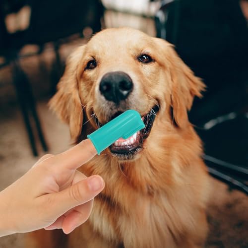 H&H Pets Dog Finger Toothbrushes - Professional Pet Finger - Product Imagery