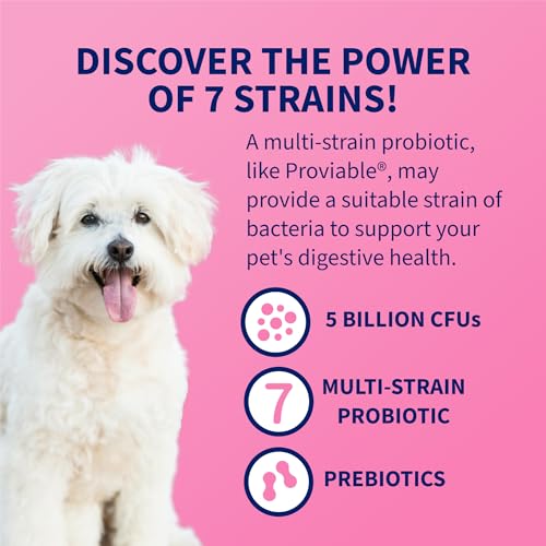 Nutramax Proviable Probiotics + Prebiotics, for Dogs & Cats, - Product Imagery