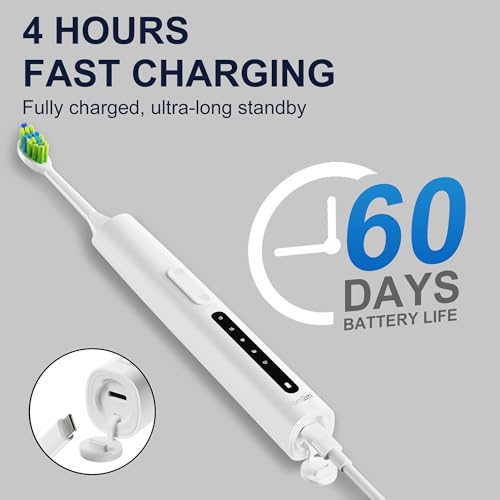 7AM2M Sonic Electric Toothbrush, High Power Rechargeable - Product Imagery