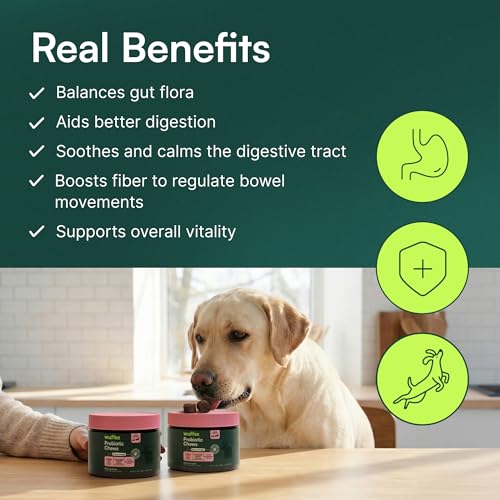 Wuffes Probiotic Chews for Dogs, Gut & Immune Support - Product Imagery