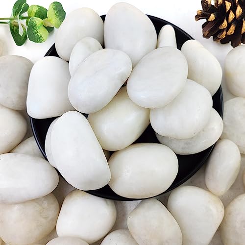 YISZM 10lbs White River Rocks, 2-3 Inch Natural Pebbles for Indoor Plants