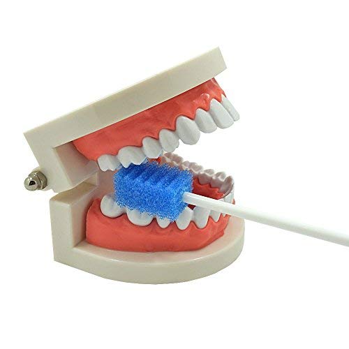 Oral Care Swabs Disposable- Blue 100 Counts - Product Imagery