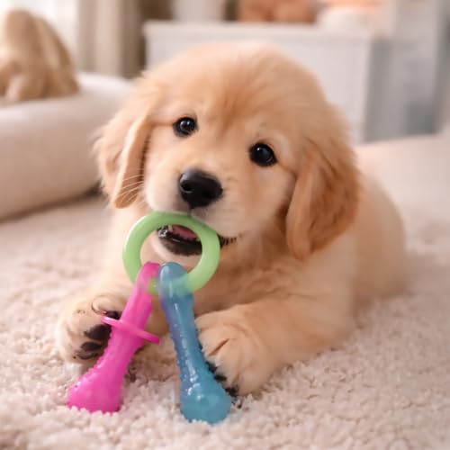 Nylabone Puppy Pacifier Chew Toy, Teething Toys for Puppies up - Product Imagery