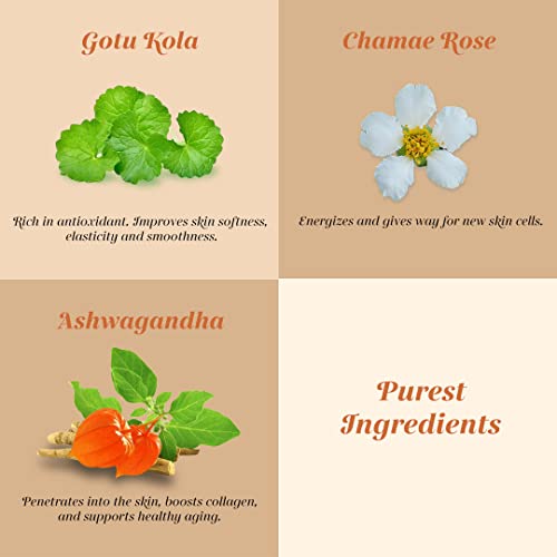 Shankara Ageless Serum for Face and Neck – Ayurvedic Facial - Product Imagery
