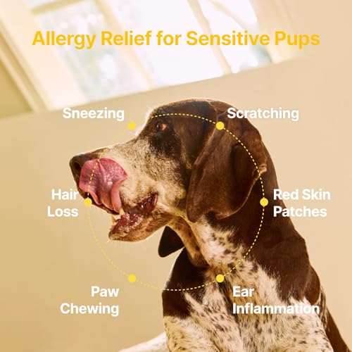 PENPEN Dog Allergy Chews - Anti-Itch & Itchy Skin Support for - Product Imagery