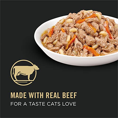 Purina Pro Plan High Protein Cat Food Wet Gravy, Beef, Carrots - Product Imagery