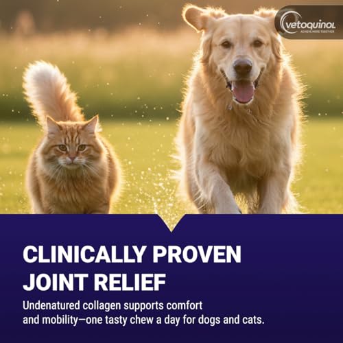 Vetoquinol Flexadin Advanced Hip and Joint Supplement with - Product Imagery