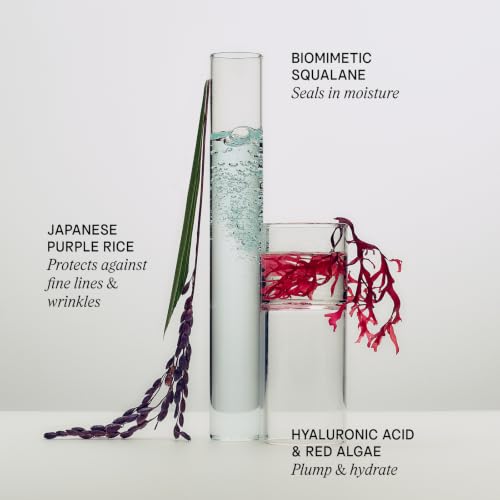 TATCHA The Dewy Skin Cream, Rich Plumping Moisturizer with - Product Imagery