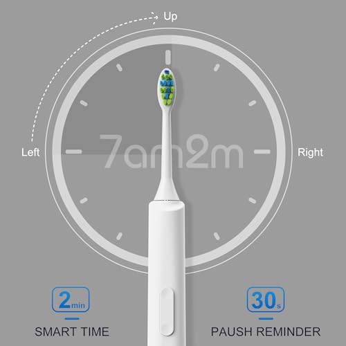 7AM2M Sonic Electric Toothbrush, High Power Rechargeable - Product Imagery