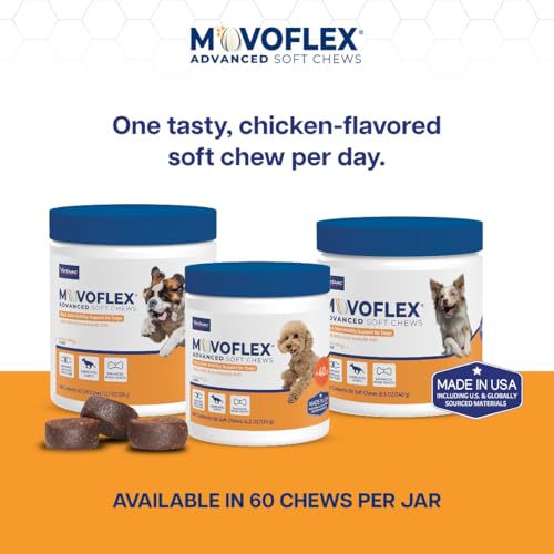 MOVOFLEX Advanced Soft Chews Hip and Joint Support Supplement - Product Imagery