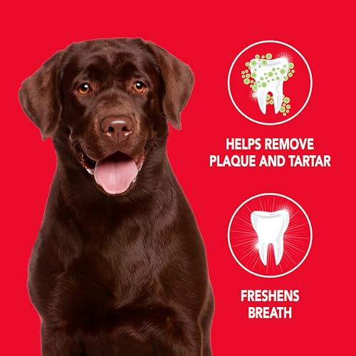 Petrodex Enzymatic Dog Toothpaste, Poultry Flavor, 6.2oz - Product Imagery