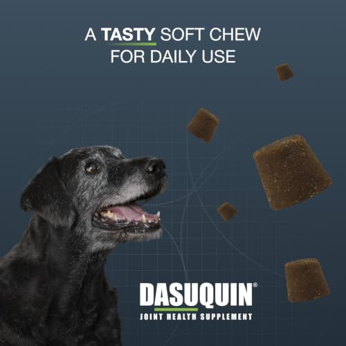 Nutramax Dasuquin Senior Joint Supplement for Large Dogs Soft - Product Imagery