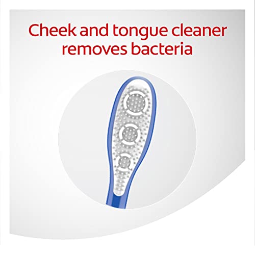 Colgate 360 Adult Toothbrush, Medium (4 Count) - Product Imagery