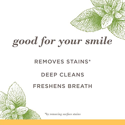 Burt's Bees Toothpaste, Natural Flavor, Fluoride-Free, Purely - Product Imagery