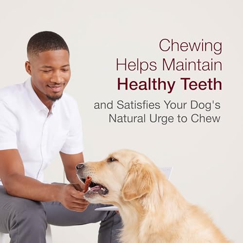 SmartBones Twist Sticks Rawhide-Free Dog Treats, Peanut Butter, - Product Imagery