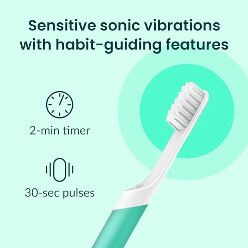 Quip Sonic Toothbrush for Adults with Timer - Includes Extra - Product Imagery