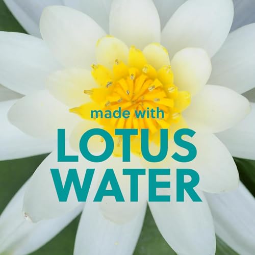Tree Hut Shea Sugar Scrub, Lotus Water, 18 oz - Product Imagery