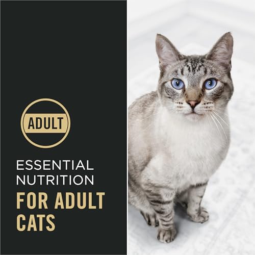 Purina Pro Plan High Protein Cat Food with Probiotics, Chicken, - Product Imagery
