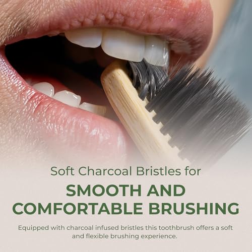 Pursonic Wide Head Toothbrush Set with Cedarwood Wooden Handle & - Product Imagery