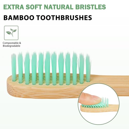 Tetragonal tree 8 Count Biodegradable Bamboo Toothbrushes - - Product Imagery