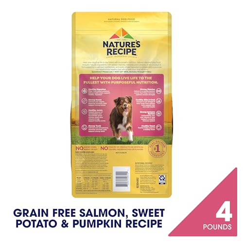 Nature's Recipe Grain Free Salmon Dry Dog Food, 4 lb. Bag - Product Imagery