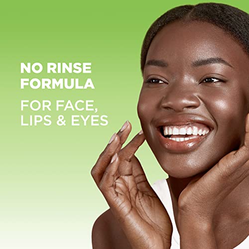 Garnier Micellar Water for Oily Skin, Facial Cleanser & Makeup - Product Imagery