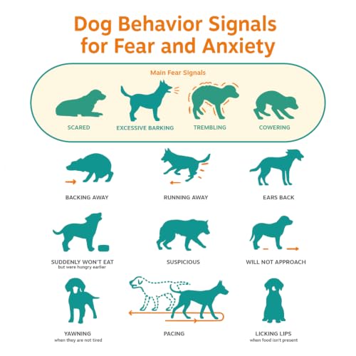 Zesty Paws Calming Chews for Dogs - Dog Calming Supplement, PB, - Product Imagery