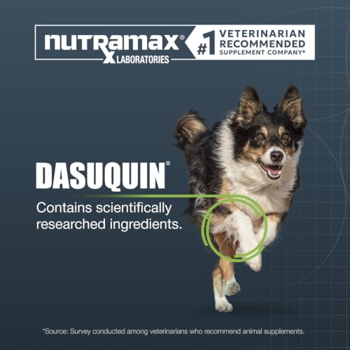 Nutramax Dasuquin MSM Joint Supplement for Large Dogs, Soft - Product Imagery