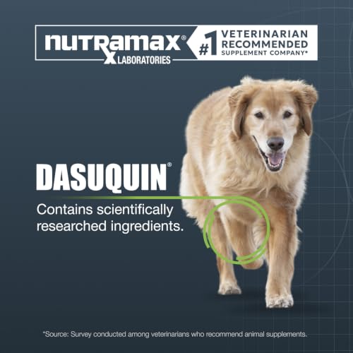 Nutramax Dasuquin Senior Joint Supplement for Large Dogs Soft - Product Imagery