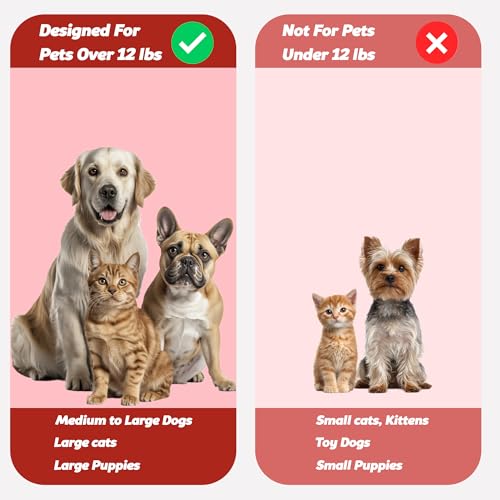 Pet Toothbrush for Dogs, Cats with Soft Bristles - Easy Teeth - Product Imagery